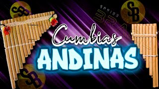 Solo Cumbias perronas 🔥 Cumbias ANDINAS mix 2023 Ft Sonido Brasil [upl. by Swirsky]