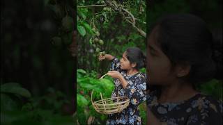 Best June Plum Juice Ever 🥝 Ambarella with Mint Leaves  ඇබරෙල්ලා ජූස් එකක් බොමුද shorts [upl. by Bohrer567]