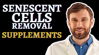 Can Destroying Senescent Cells Treat AgeRelated Disease  Dr Andrew Steele amp Sweet Fruit [upl. by Maziar284]