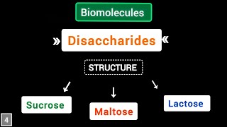 What are Disaccharides structure of sucrose maltose lactose  Biomolecules  simplified [upl. by Birecree]