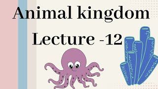 Echinodermata  Animal kingdom Lecture  12 [upl. by Winstonn798]