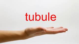 How to Pronounce tubule  American English [upl. by Eednus]