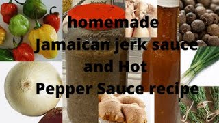 Homemade Jamaican jerk sauce and Hot Pepper Sauce recipe [upl. by Porty]