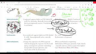 Organization of DNA and chromatin structure  Molecular biology BiochemistryFirst Aid LectureLec4 [upl. by Roque]