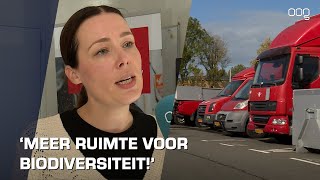 ‘Beheer openbare ruimte moet groener klimaatvriendelijker en passend zijn voor de omgeving’ [upl. by Lammond]