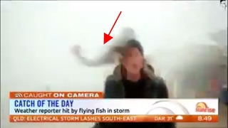 Weather Reporter Hit by Flying Fish in Storm Doris [upl. by Olenta774]