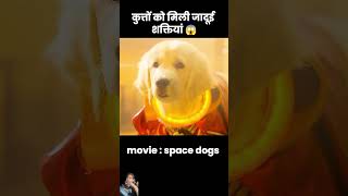 dog amazingfacts factsinhindi doglover knowledge movie dogs dogvideo [upl. by Jacobsohn]