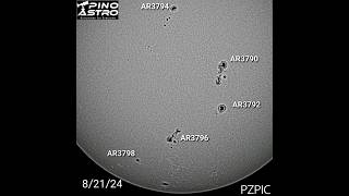 Daily Sunspots Today August 21 2024 BampW 82124 sun solar sunspots seestar SolarObservation [upl. by Weeks]