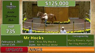 2024 Heritage Place Quarter Horse Yearling Sale Day Three Hip 735 260000 Mr Hocks [upl. by Gravante762]