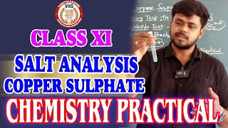 🔥🔥💥 CLASS XI CHEMISTRY PRACTICALS  SALT ANALYSIS  COPPER SULPHATE [upl. by Pike223]