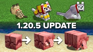 Minecraft 1205 Update Explained in 5 Minutes [upl. by Novj]