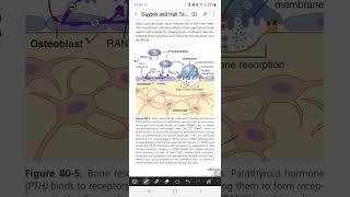 BONE RESORPTION BY OSTEOCLASTS [upl. by Ecidnacal265]