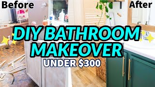 DIY BATHROOM MAKEOVER ON A BUDGET  BATHROOM REMODEL UNDER 300  EXTREME BATHROOM TRANSFORMATION [upl. by Nosneb]