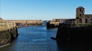 Amlwch Harbour with gamekeeper John and Tommy the turd [upl. by Leksehcey]