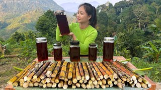 Process Make Molasses From Sugarcane and How to Preserve  Cook for children [upl. by Castra497]