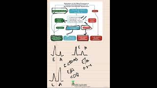 LV diastolic dysfunction algorithm mnemonic part 2 patients with depressed LVEF or suspected dx dysf [upl. by Colline]