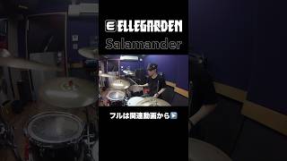 ELLEGARDENの「Salamander」を叩いてみた drumcover エルレ ドラム叩いてみた 邦ロック サラマンダー [upl. by Mccahill]