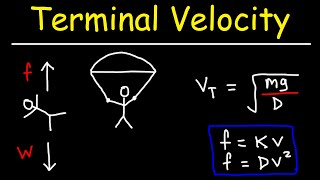 Terminal Velocity [upl. by Aitnyc]