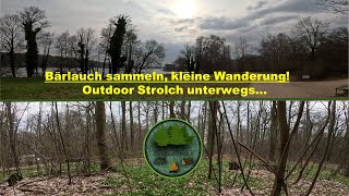 Bärlauch sammeln im kleinen Wäldchen  Outdoor  Wandern  Outdoor  Strolch [upl. by Sidonie400]