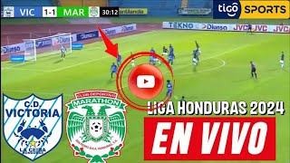 🔴EN VIVO Victoria vs Marathon donde ver y a que hora juega liga de honduras 2024 hoy en vivo [upl. by Orpha]