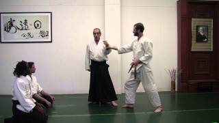 Aikido in Three Easy Lessons in 11 minutes [upl. by Maia]