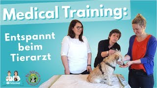 Medical Training Tierarzttraining für den Hund – Kooperationssignal [upl. by Naitsyrk]