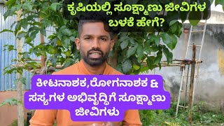 ಕೃಷಿಯಲ್ಲಿ ಸೂಕ್ಷ್ಮಾಣು ಜೀವಿಗಳ ಬಳಕೆ how to use micro organisms in agriculture [upl. by Armat]