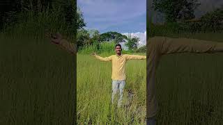 Piritiya lagal tohse hindi song hindilovesong indiansong youtubeshorts ytshorts shorts short [upl. by Kcinnay]