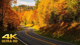 Utah Autumn Colors Mountain Scenic Driving 4K  Kolob Terrace Through Zion  Fall Relaxation [upl. by Devonne]