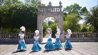 Danza de Bordadoras Aguascalientes [upl. by Yelik]