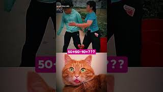 cat funny explore memes bombastic viral shorts [upl. by Adolpho32]