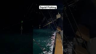 Puget Sound Squid Fishing Battle Fishing [upl. by Bannon]