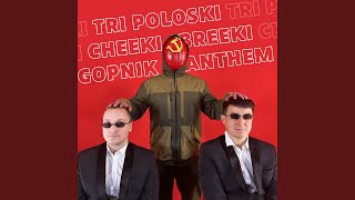 Tri Poloski Cheeki Breeki Gopnik Anthem [upl. by Hamish104]