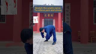 Stretch the sciatic nerve to relieve pain and stress taichi health kungfu taichiforhealth [upl. by Pierson]