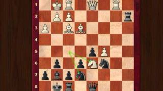 Strategic ideas in the Alekhine defence game 2 [upl. by Noelyn]