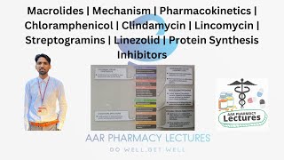 Macrolides  Chloramphenicol  Clindamycin  Lincomycin  Streptogramins  Linezolid  Mechanism [upl. by Llenrod310]