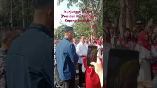 Kunjungan Jokowi ke Dukuh Kupang Surabaya [upl. by Nepean]