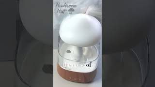 How To Sleep Better In 3 EASY STEPS  MushroomMist ASMR Humidifier [upl. by Ettennil]