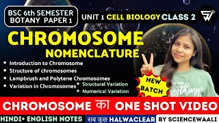 Chromosome Structure amp Function  Chromosomal Nomenclature BSc 6th semester Paper 1 Unit 1 🔥 [upl. by Heaps]