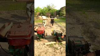 DIESEL ENGINE START WITH TWO MAN NEW EXPERIMENT 😜experiment shorts trending viralvideo [upl. by Ylas]