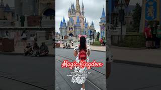 What I did in a day at Magic Kingdom vlog disneyworld shorts [upl. by Gilford440]