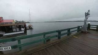 Castine Kayak Adventures Maine 52717 [upl. by Goober]