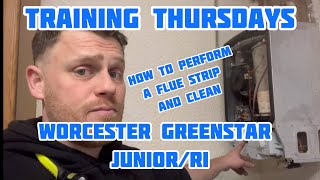 How to Full Service The Worcester Greenstar Junior and RI Training Thursdays [upl. by Nitsid]