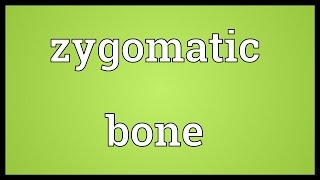 Zygomatic bone Meaning [upl. by Suirada384]