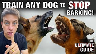 How To STOP Any Dog From Excessive Barking The Ultimate Guide [upl. by Aliuqehs657]