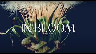 In Bloom song with lyrics  Morgan Jaymes Lyric Aditi [upl. by Grosvenor782]