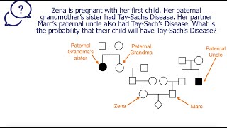 Probability calculation from a pedigree  Sample 4 [upl. by Ileray550]