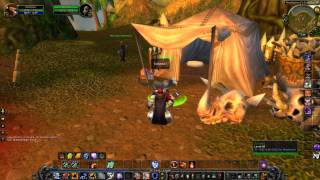 Spanks the monkey in Stranglethorn Vale  Cataclysm beta [upl. by Alpheus]