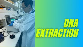 DNA EXTRACTION PROCESS [upl. by Anayit]