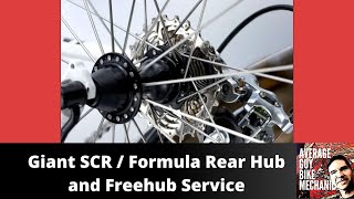 Giant SCR  Formula Hub Service amp Freehub Rebuild [upl. by Nebeur]